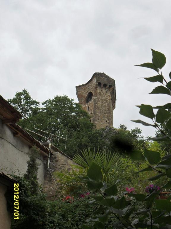 Camping Frédéric Mistral